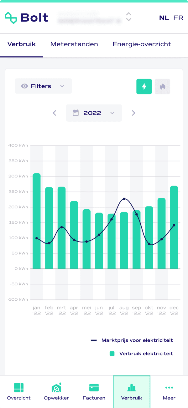 Bolt customer portal consumption mobile